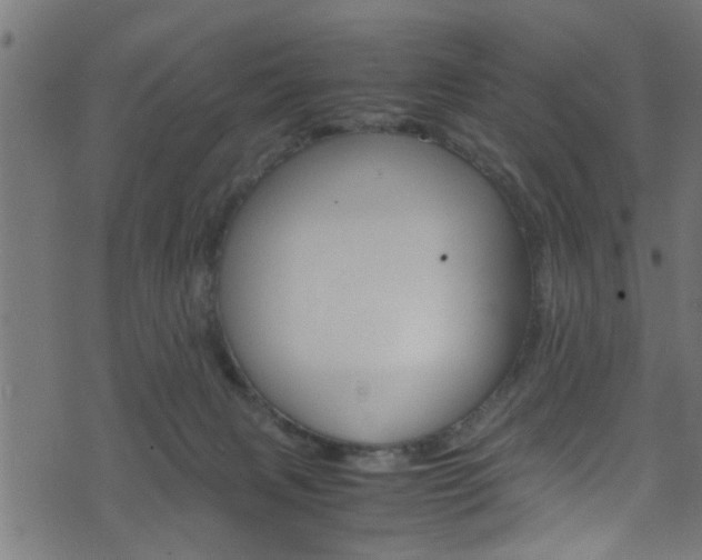 X0000071830079200606301046