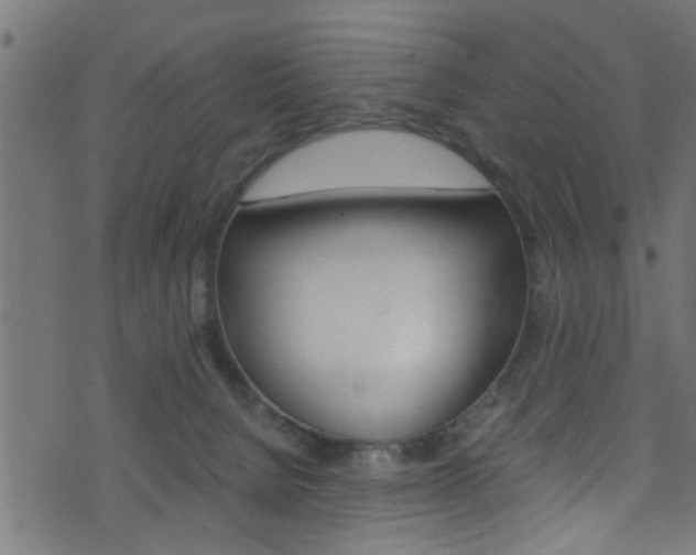 X0000071830080200606301046