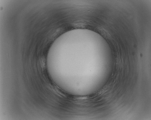 X0000071830081200606301046