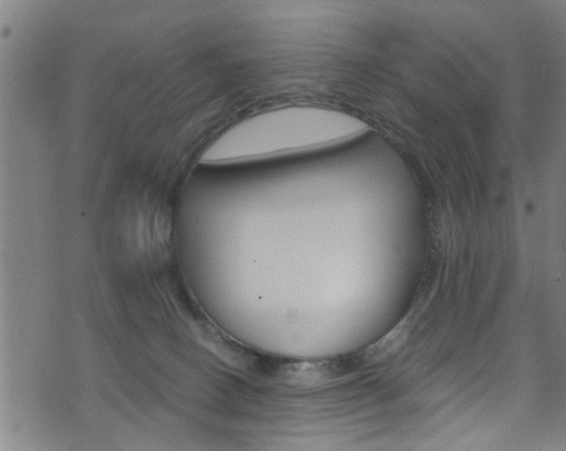 X0000071830082200606301046