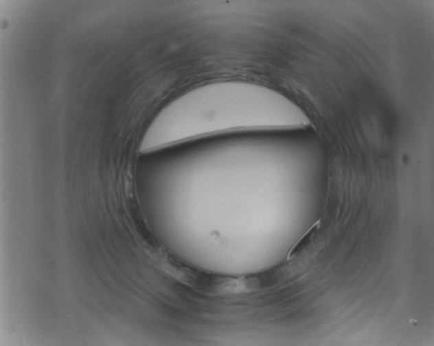 X0000071830083200606301046