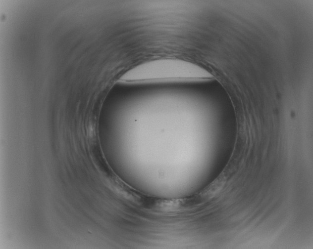 X0000071830084200606301046