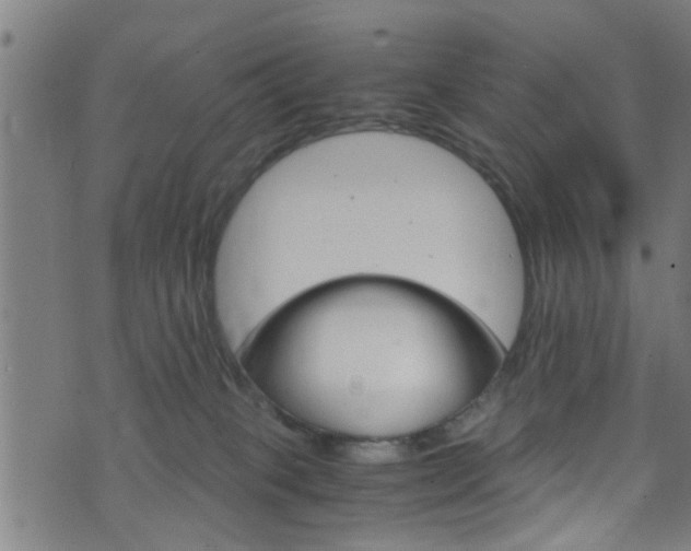 X0000071830085200606301046