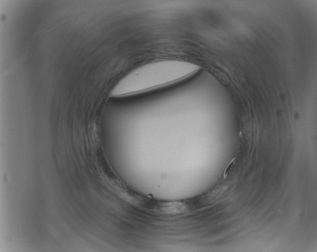 X0000071830087200606301046