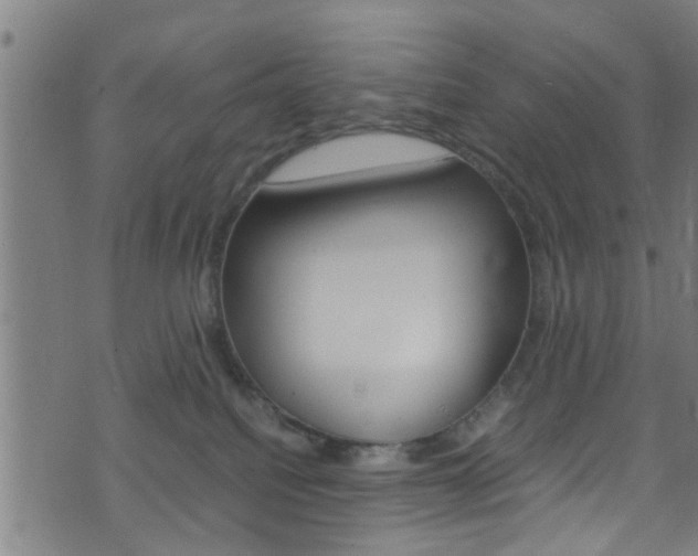 X0000071830088200606301046