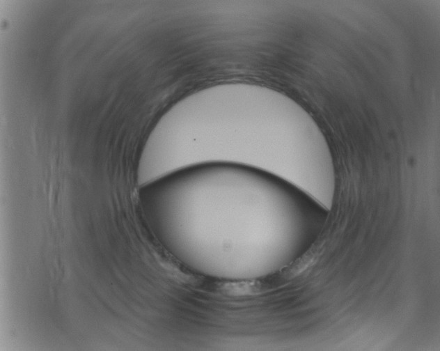 X0000071830089200606301046