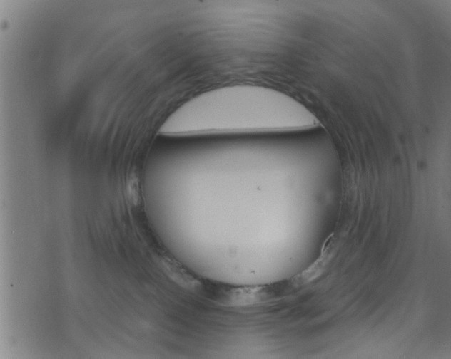 X0000071830090200606301046