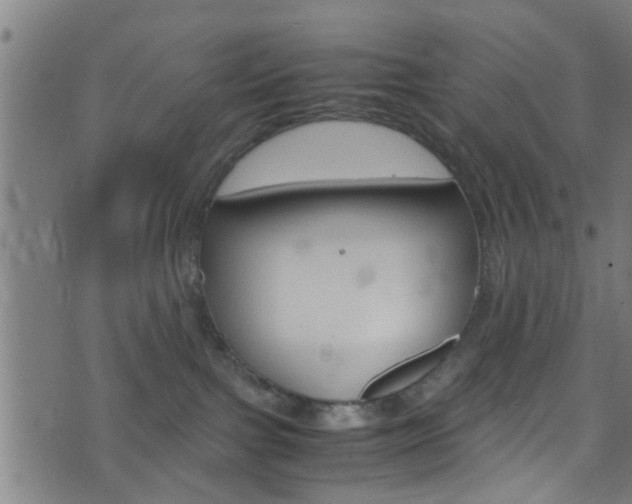 X0000071830091200606301046