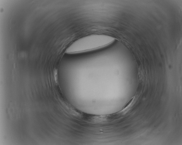 X0000071830094200606301046