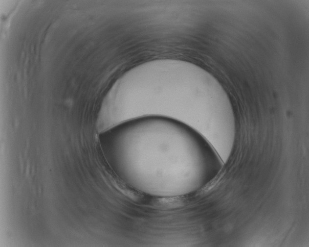 X0000071830095200606301046