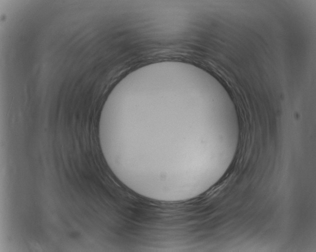 X0000071830096200606301046