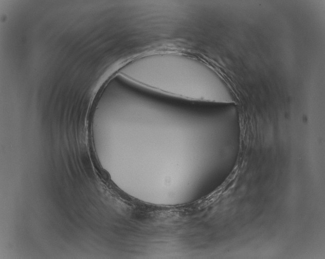 X0000071830100200606301045