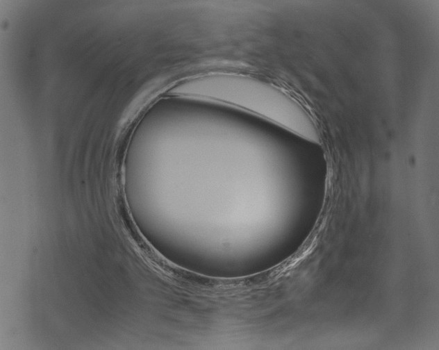 X0000071830101200606301045