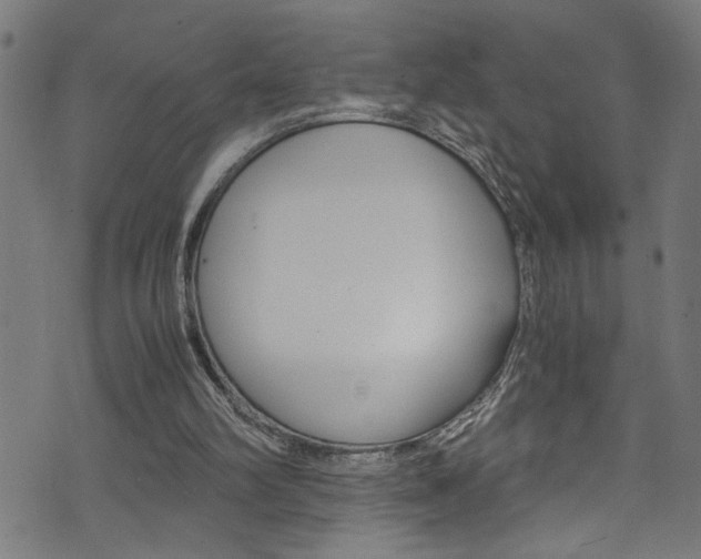 X0000071830102200606301045