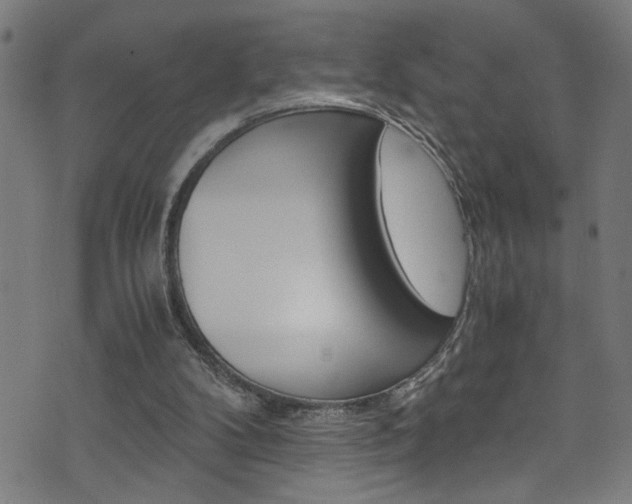 X0000071830104200606301045