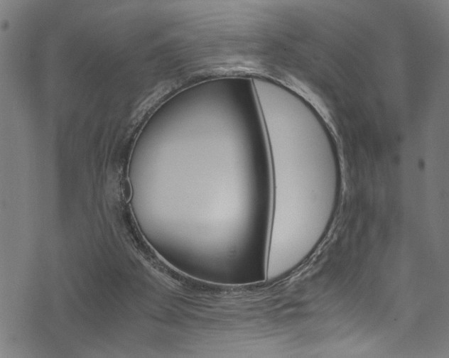 X0000071830105200606301045