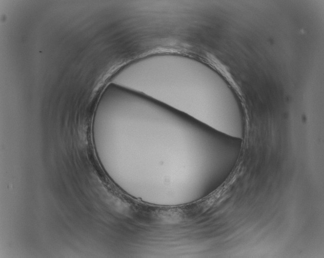 X0000071830106200606301045