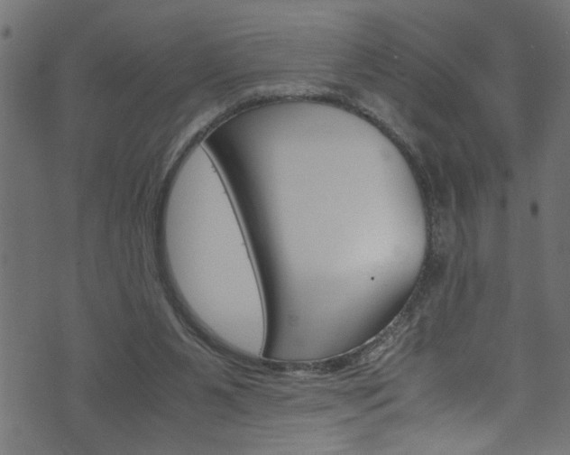 X0000071830111200606301045