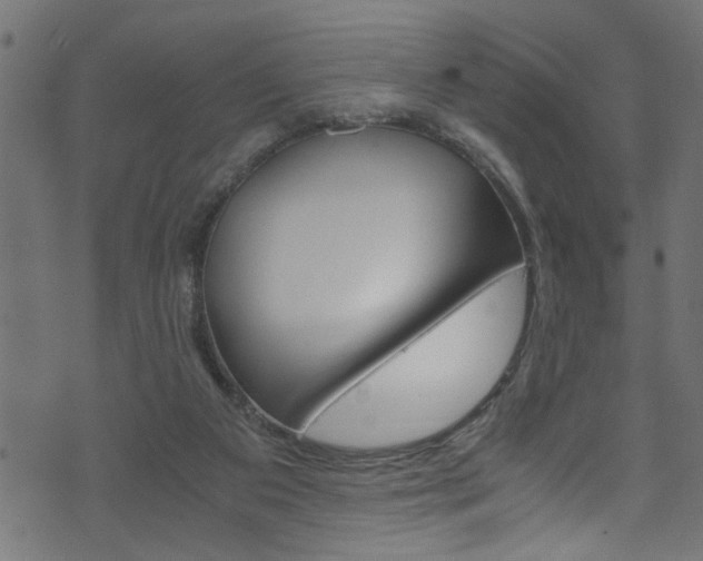 X0000071830113200606301045