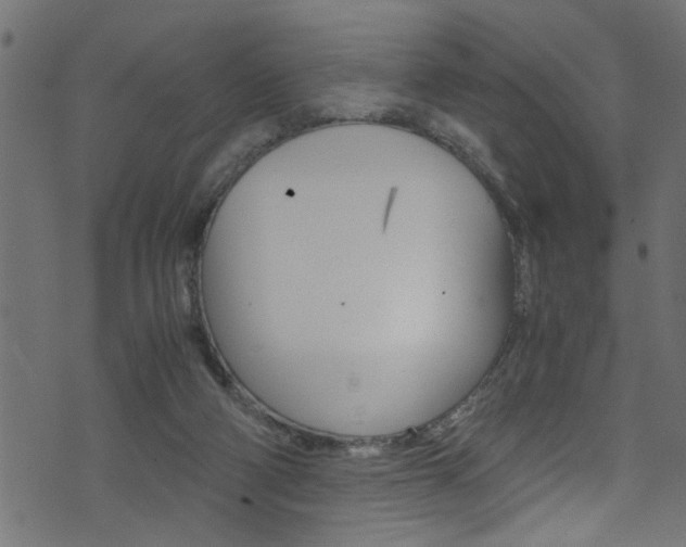 X0000071830114200606301045