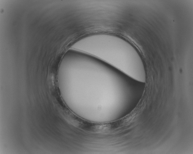 X0000071830117200606301045