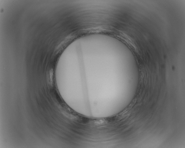 X0000071830118200606301045