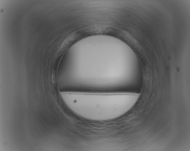 X0000071830119200606301045