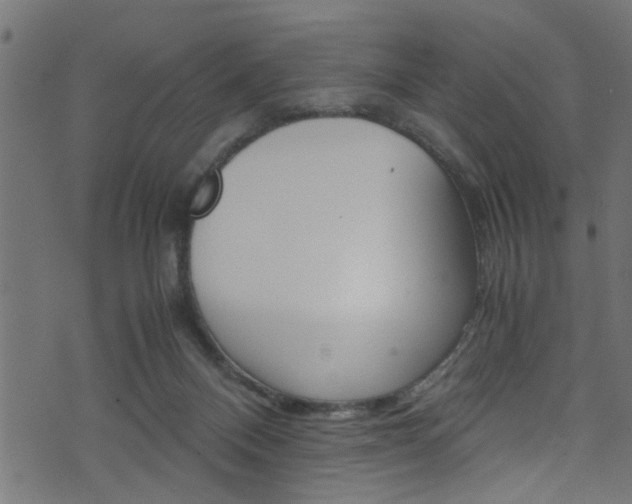 X0000071830120200606301045