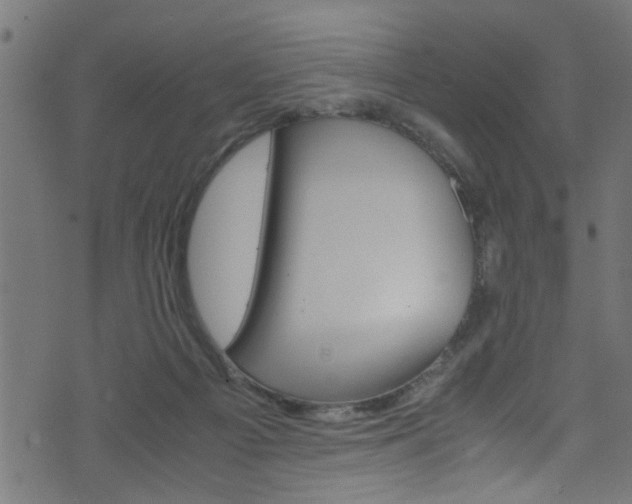 X0000071830121200606301045