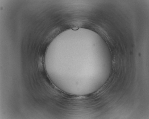 X0000071830122200606301045