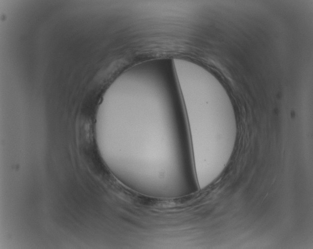 X0000071830123200606301045