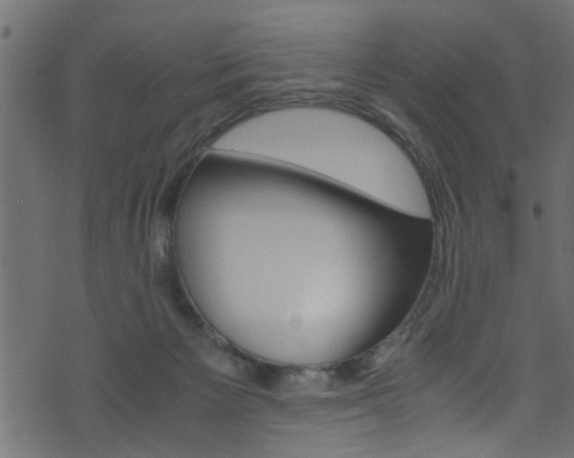 X0000071830125200606301045