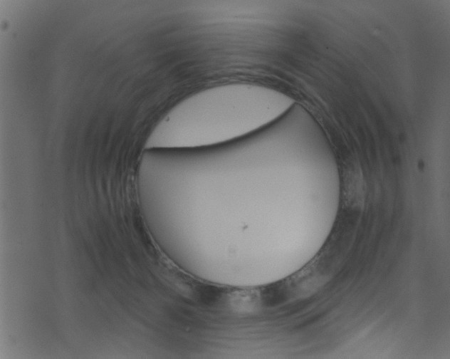 X0000071830126200606301045