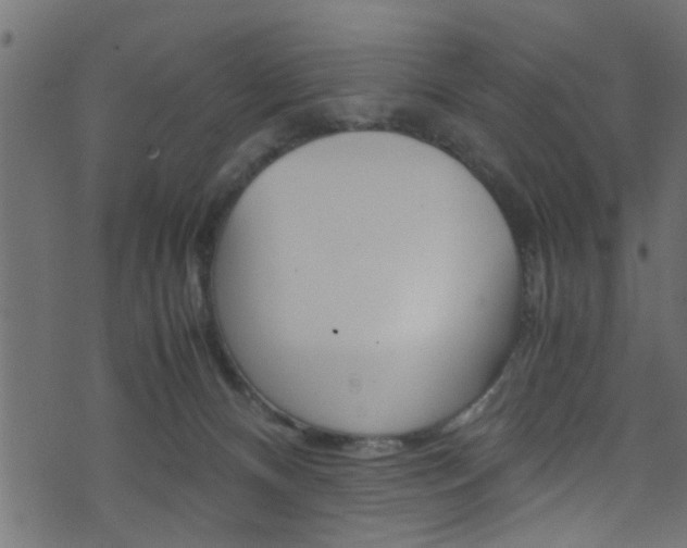 X0000071830128200606301045