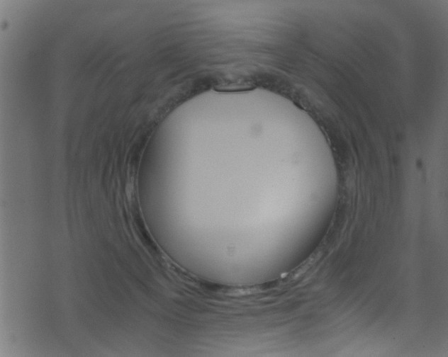 X0000071830129200606301045