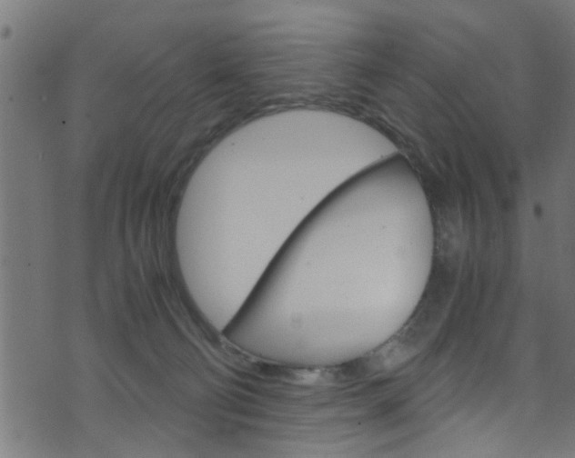 X0000071830130200606301045