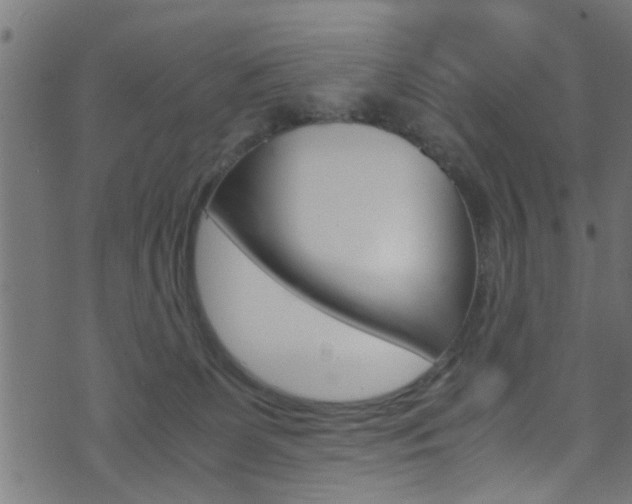 X0000071830131200606301045