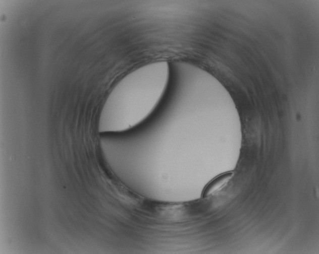 X0000071830132200606301045