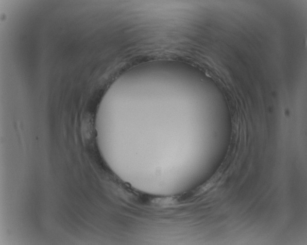 X0000071830133200606301045