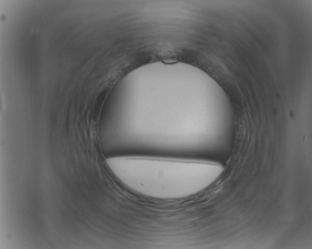 X0000071830135200606301045