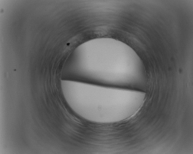 X0000071830136200606301045