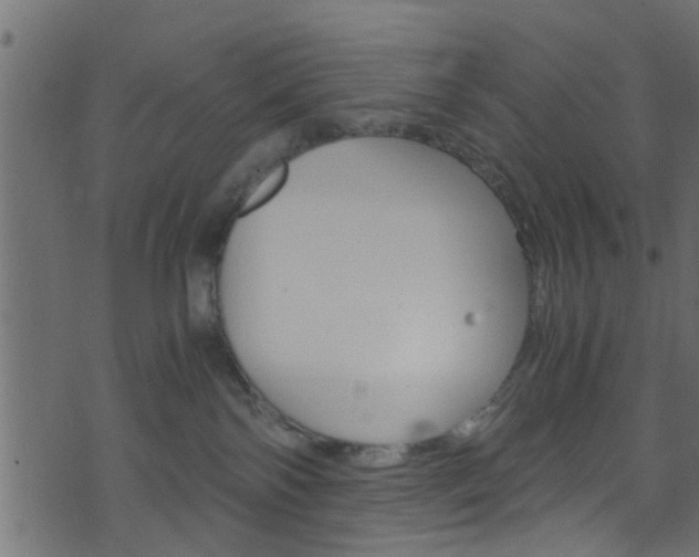 X0000071830138200606301045