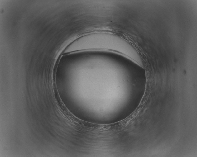 X0000071830148200606301044