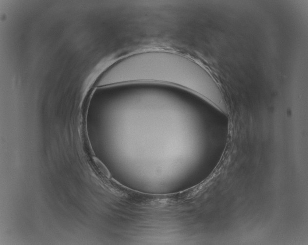 X0000071830152200606301044