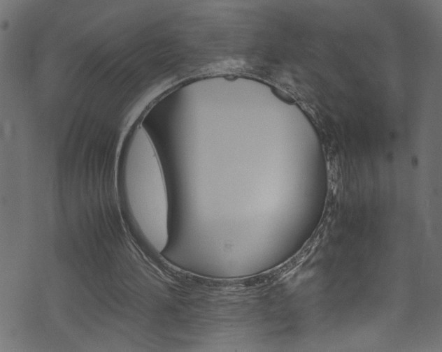 X0000071830196200606301044