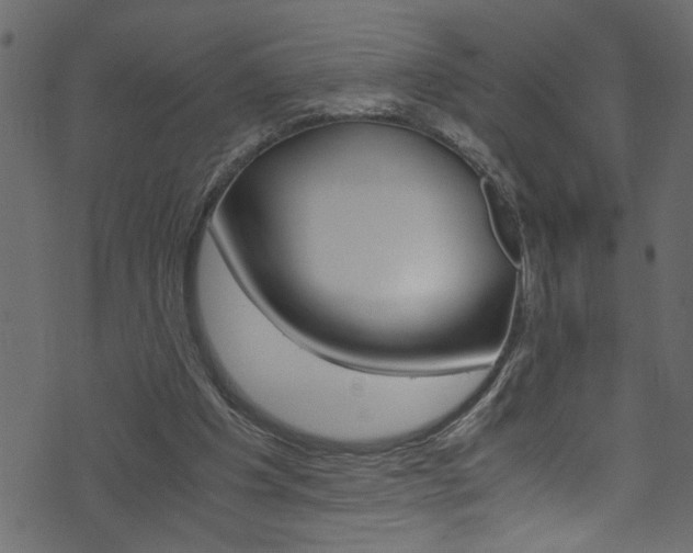 X0000071830201200606301044