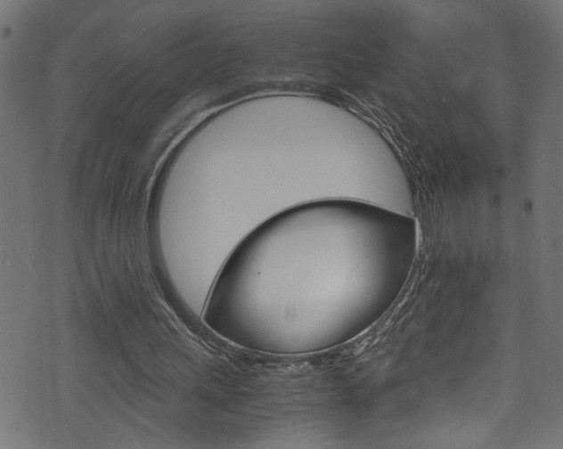 X0000071830243200606301042