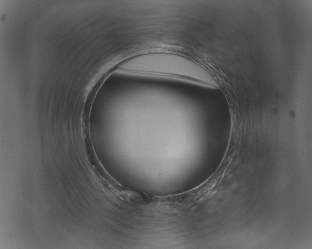 X0000071830244200606301042