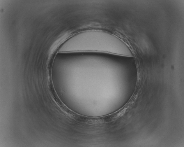 X0000071830245200606301042