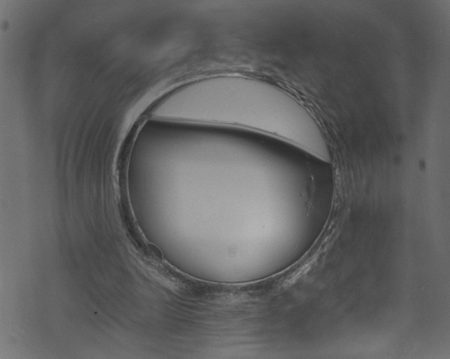 X0000071830246200606301042